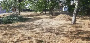 Vand teren intravilan, loc de casa in orasul Pecica - imagine 5