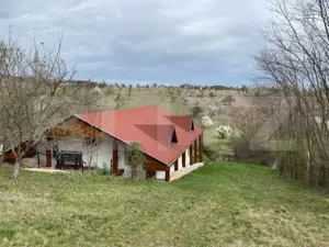 Casa deosebita cu 5 dormitoare, 115 mp, teren 2300 mp, zona Schit - imagine 3