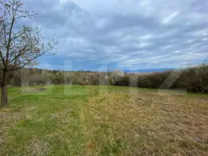 Casa deosebita cu 5 dormitoare, 115 mp, teren 2300 mp, zona Schit - imagine 11