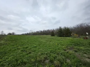 Balta pentru pescuit, peisaj de vis,  padure-lac, investitie garantata - imagine 5