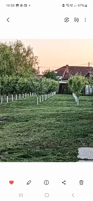 Vând casă  sau schimb+diferența  - imagine 5 Vând casă  sau schimb+diferența  - imagine 5