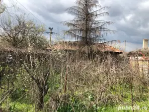 Bragadiru   casa batraneasca vanzare - imagine 5