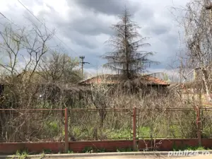 Bragadiru   casa batraneasca vanzare - imagine 3