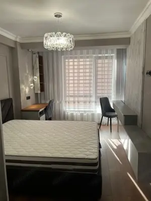 Apartament cu o camera Take Ionescu, zona Isho - imagine 3