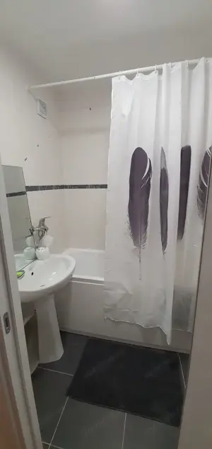 Apartament doua camere zona Tudor Vladimirescu - imagine 4