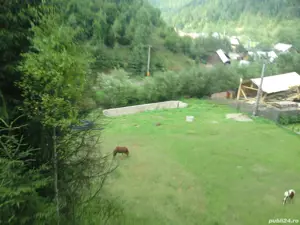 Vand teren - imagine 3