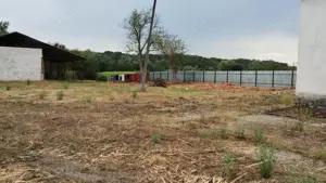 Hale Surduc  - imagine 4