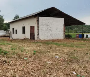 Hale Surduc  - imagine 5