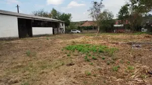 Hale Surduc  - imagine 7