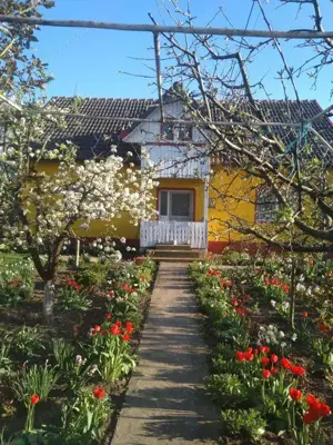 Vand casa in Sapata, Comuna Macesu de Jos - imagine 2