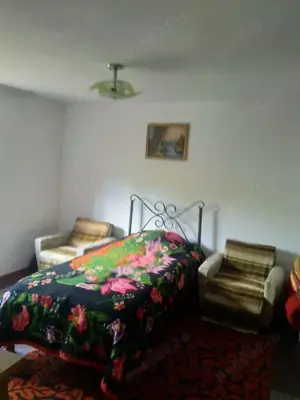 Vand casa in Sapata, Comuna Macesu de Jos - imagine 7