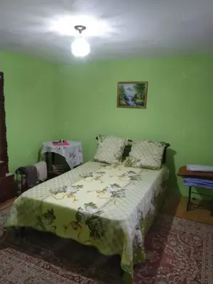 Vand casa in Sapata, Comuna Macesu de Jos - imagine 6