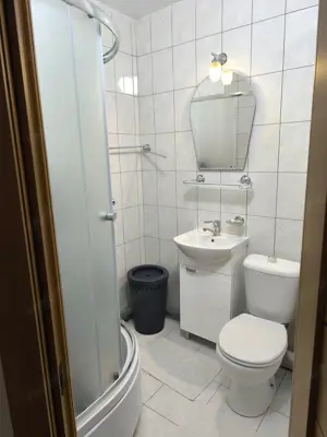 Apartament cu o camera Ultracentral de inchiriat - imagine 3