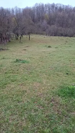 Teren Valea Lunga Cricov - imagine 3