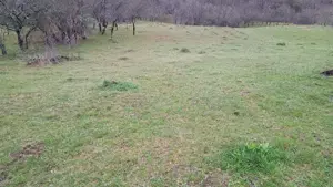 Teren Valea Lunga Cricov - imagine 2