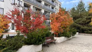 Proprietar vanzare închiriere Iancu Nicolae Gradina zoologica Jolie ville Cambridge school  - imagine 10