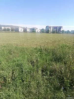 Vând teren 2 ha, 6 ari - imagine 3