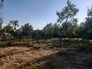 Casa Beregsau Mic caramida strada principala ,teren mare - imagine 8 Casa Beregsau Mic caramida strada principala ,teren mare - imagine 8