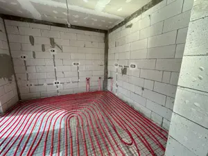 Vand vila noua la nivel,Fantanele,jud.Arad,st.300 mp,la gri - imagine 10