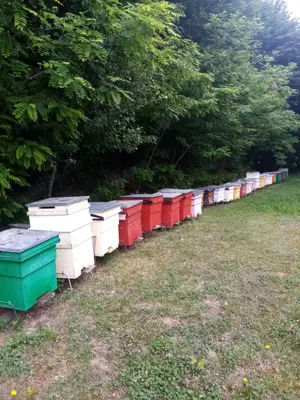 vand familii de albine