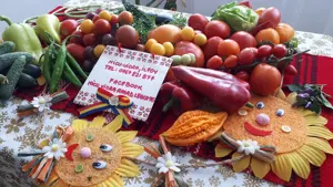 Vand rasad ardei, rosii, castraveti, vinete, varza | Rasaduri Legume