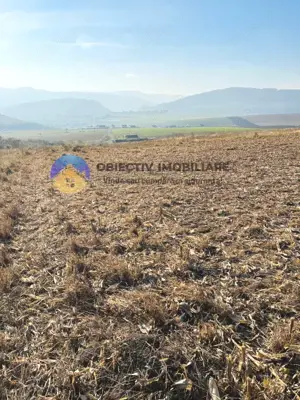 TEREN intravilan  comuna GARCINA - imagine 5