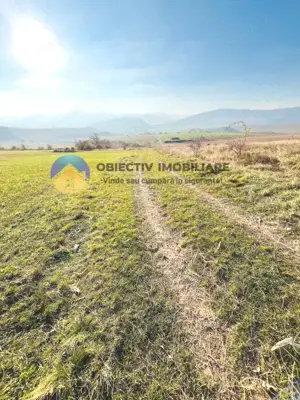 TEREN intravilan  comuna GARCINA - imagine 3