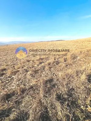 TEREN intravilan  comuna GARCINA - imagine 4