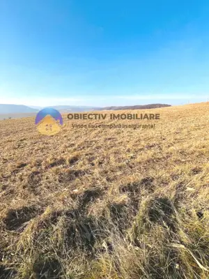 TEREN intravilan  comuna GARCINA - imagine 6