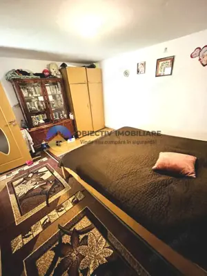 CASA + HALĂ  comuna ALEXANDRU cel BUN - imagine 5