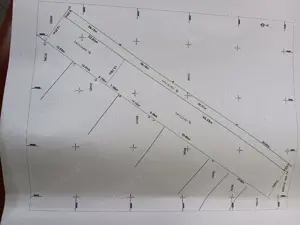 PROPRIETAR , Varlaam , Adunatii Copaceni - imagine 3