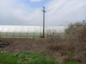 PROPRIETAR , Varlaam , Adunatii Copaceni - imagine 5