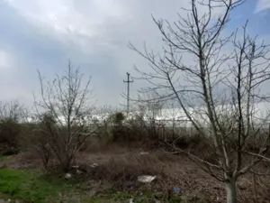 PROPRIETAR , Varlaam , Adunatii Copaceni - imagine 6