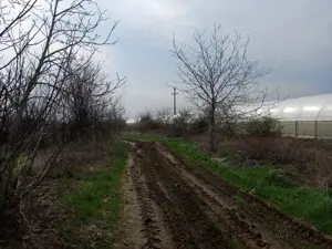 PROPRIETAR , Varlaam , Adunatii Copaceni - imagine 4