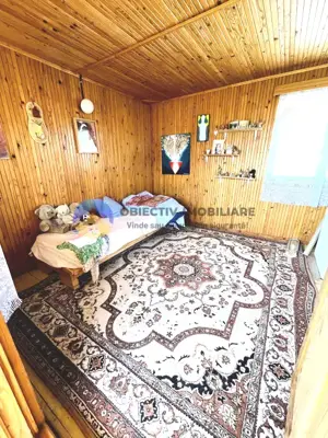 CASA comuna ALEXANDRU CEL BUN - VADURELE - imagine 10