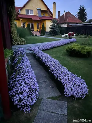 vand casa  - imagine 4 vand casa  - imagine 4