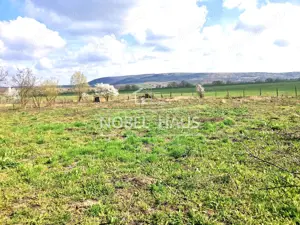 Casa batraneasca si teren intravilan, in sat Sarbi, comuna Banca, jud Vaslui - imagine 5
