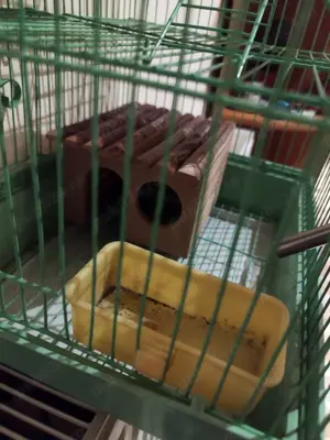 Vând cușcă rozătoare - imagine 2