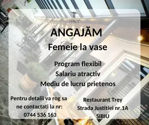 Angajăm femeie la spălat vase pentru locatia Trey restaurant SIBIU