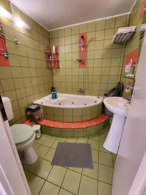 Mihai Bravu 2 camere - imagine 8