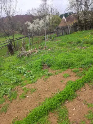 teren, pamant in zona frumoasa de munte - imagine 4