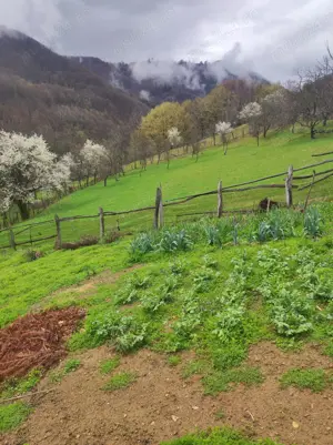 teren, pamant in zona frumoasa de munte - imagine 6