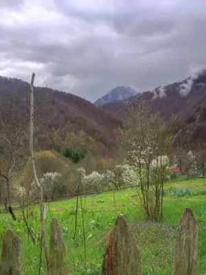 teren, pamant in zona frumoasa de munte - imagine 5