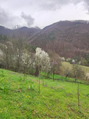 teren, pamant in zona frumoasa de munte - imagine 3