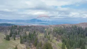 Teren de vânzare – 1000 mp în Poiana Mică | Investiție ideală! - imagine 7