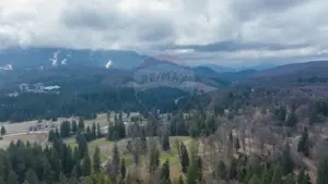 Teren de vânzare – 1000 mp în Poiana Mică | Investiție ideală! - imagine 6