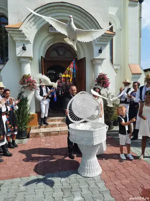 porumbei albi pentru nunti 