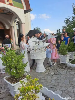 porumbei albi pentru nunti  - imagine 3