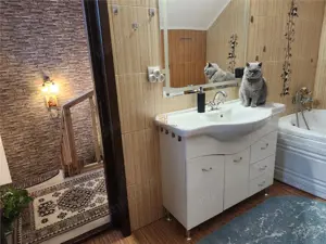 Casa Zona Campus Universitate - Cartier Privat! Suceava! 0727817187 - imagine 9 Casa Zona Campus Universitate - Cartier Privat! Suceava! 0727817187 - imagine 9