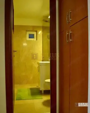 decomandat, centrala proprie-Timocului - imagine 8